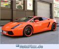 Gallardo 70562616