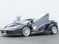 Gallardo 70562619