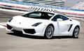 Gallardo 70562622