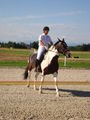 RP Reitverein Welser Heide 2009 63772211