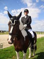 RP Reitverein Welser Heide 2009 63773225