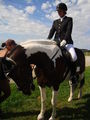 RP Reitverein Welser Heide 2009 63773430