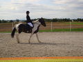 RP Reitverein Welser Heide 2009 63773605