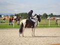 RP Reitverein Welser Heide 2009 63773722