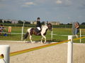 RP Reitverein Welser Heide 2009 63773827