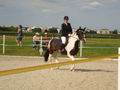 RP Reitverein Welser Heide 2009 63773926