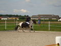 RP Reitverein Welser Heide 2009 63774022