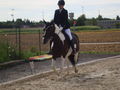 RP Reitverein Welser Heide 2009 63774633