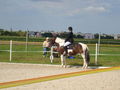 RP Reitverein Welser Heide 2009 63774716