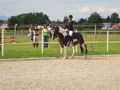 RP Reitverein Welser Heide 2009 63774859