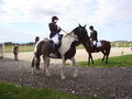 RP Reitverein Welser Heide 2009 63775204