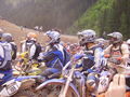 Erzbergrodeo 2008 41936674