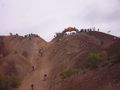 Erzbergrodeo 2008 41936783