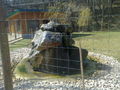 Tierpark Haag 51372058