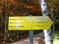 Wandertag in Sandl 47692624