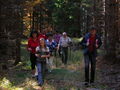 Wandertag in Sandl 47692627