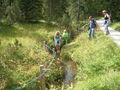 Ausflug auf die Wurzeralm 06.09.2008 44742171