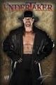 The Undertaker 44557015