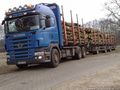 Der schönste Sport ist Holztransport!!!! 45091950