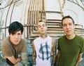 blink-182 62799219