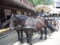 Pullman City 41126813