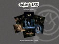 Blink 182 48786975