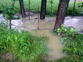 Hochwasser 2009 in Samendorf 61887977