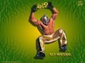 Rey Mysterio 44852561