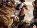 erzbergrodeo 46161014