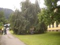 Urlaub am Pillersee/Tirol! 43283887