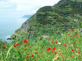 Cinque Terre / Genova 73523825