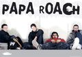 paparoach 45160048