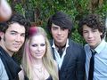 Jonas Brothers sind auch so cool!!!!!!!! 48828411