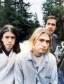 Nirvana 69211507