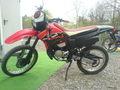 my Moped 58969337