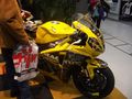 Motoradmesse 2010 in Linz 71481781