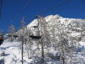 Skitag Wurzeralm 04.01.2010 70550242