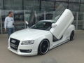 VVW&Audi Cup V.A.S.T Treffen09 60395952