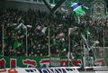 Rapid Wien 49378604