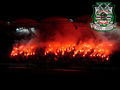 Rapid Wien 49378647