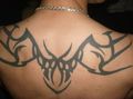 mein Tattoo 46403722