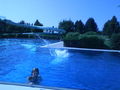 Freibad :) 74007996