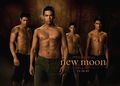 Taylor Lautner und Twilight 69793460