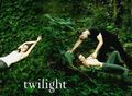 Taylor Lautner und Twilight 69793490