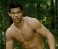 Taylor Lautner und Twilight 69793553