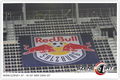 Red Bull salzburg 46831038