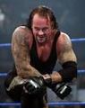 Undertaker 52214414