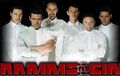 RAMMSTEIN 45929096