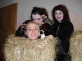 Fasching2010 71785312