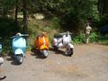 *Vespas* 49686276